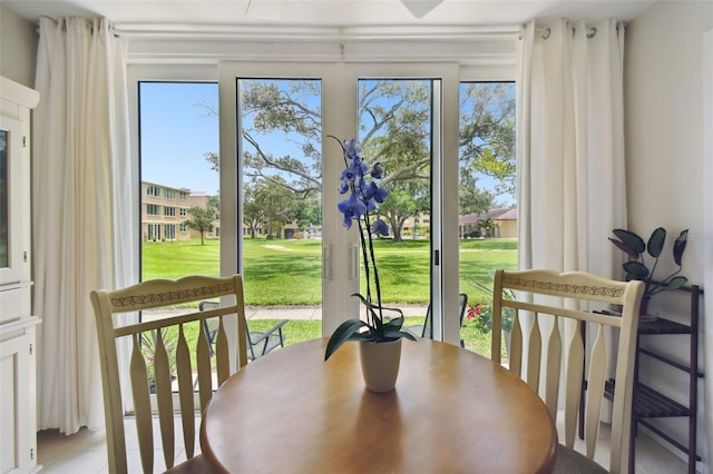 dining room with a wealth of natural light