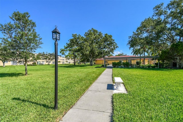 view of community featuring a lawn