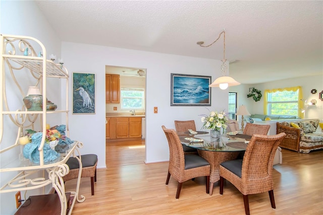 dining area featuring light wood-type flooring, a wealth of natural light, and sink