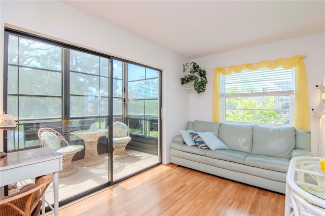 living room with light hardwood / wood-style floors