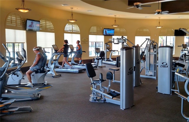 exercise room with a wealth of natural light and ceiling fan