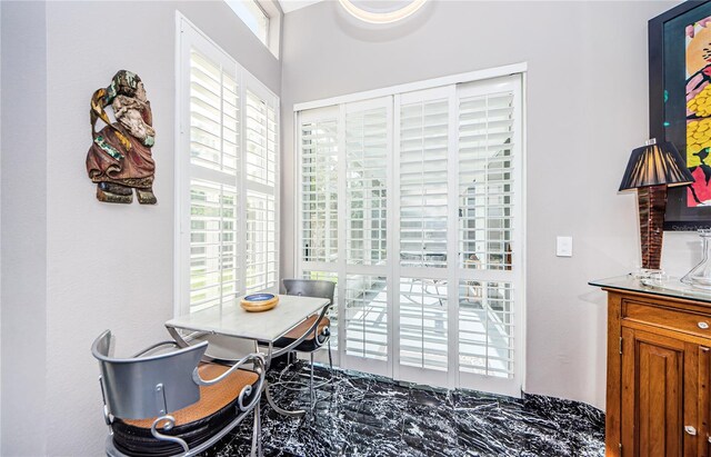 dining space featuring a healthy amount of sunlight