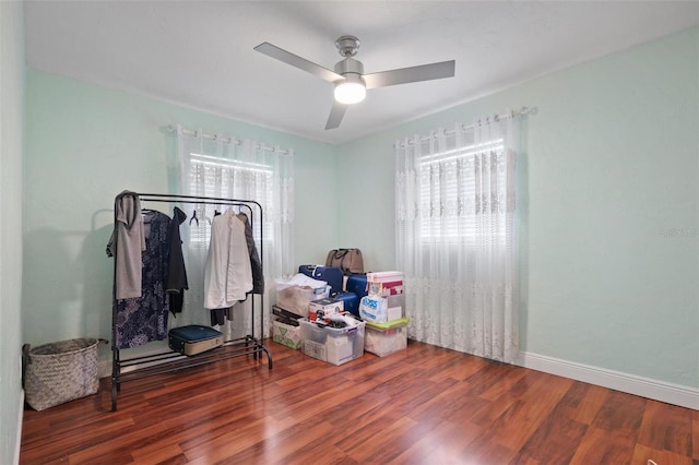 interior space with a wealth of natural light, wood-type flooring, and ceiling fan