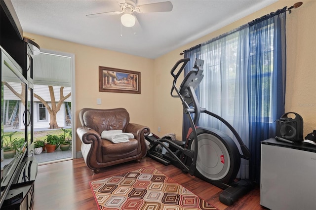 exercise area featuring wood-type flooring and ceiling fan