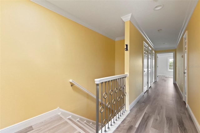 hallway featuring ornamental molding and hardwood / wood-style floors