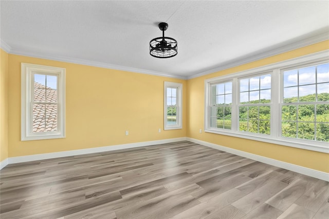 unfurnished room with ornamental molding, a textured ceiling, and light hardwood / wood-style floors