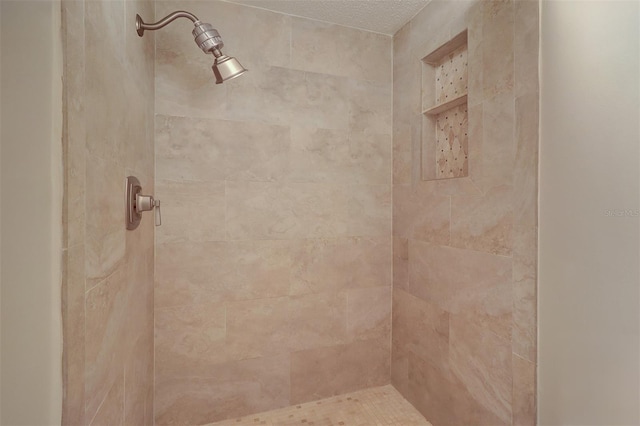 interior details featuring tiled shower