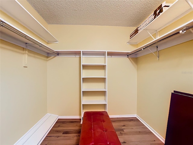 walk in closet featuring wood-type flooring