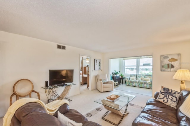 carpeted living room with a textured ceiling