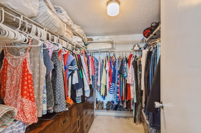 view of spacious closet