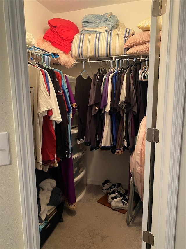 walk in closet with carpet floors