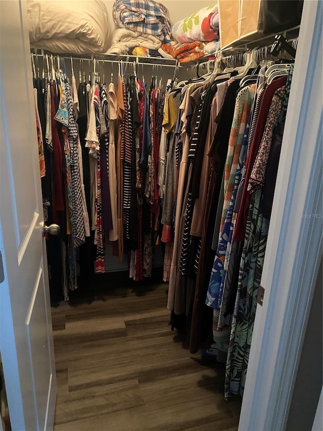 spacious closet featuring dark wood-type flooring