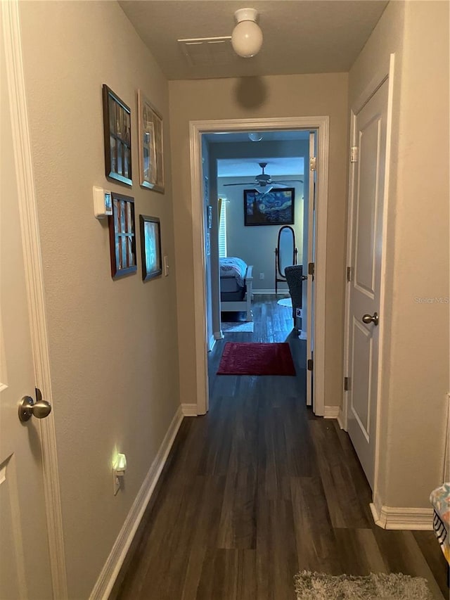 hallway featuring dark wood-type flooring