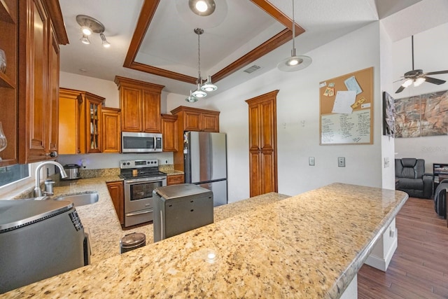 kitchen with stainless steel appliances, a tray ceiling, light stone countertops, and sink