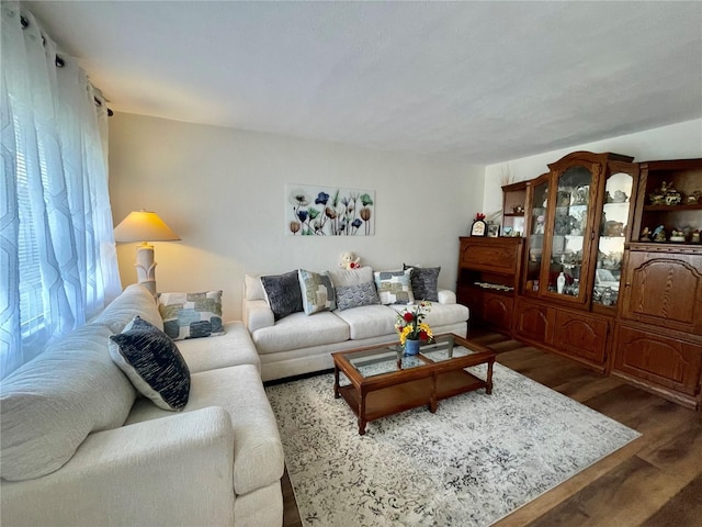 living room featuring dark hardwood / wood-style flooring