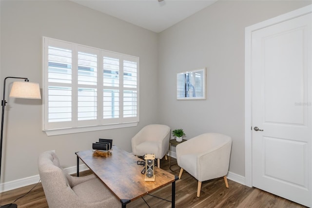 office area featuring hardwood / wood-style flooring