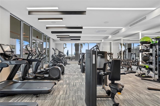 gym with expansive windows