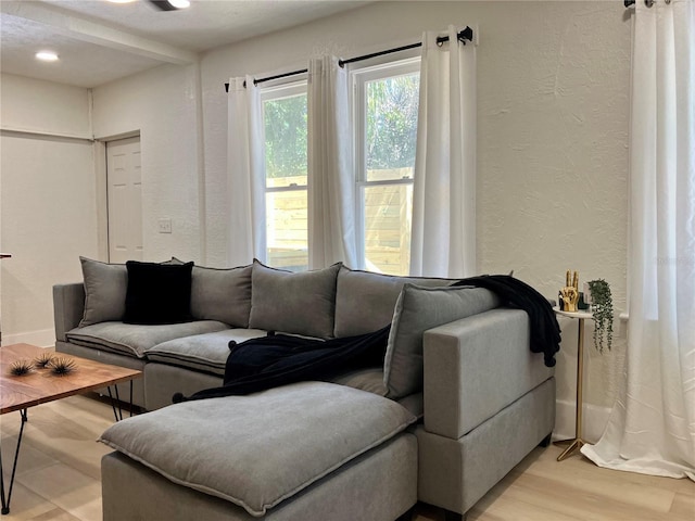 living room featuring light hardwood / wood-style flooring