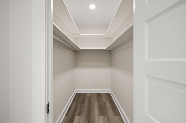 walk in closet with dark wood-type flooring