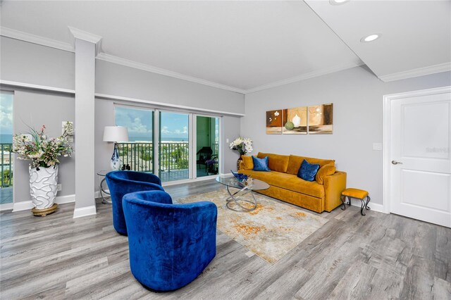 living room featuring wood-type flooring and ornamental molding