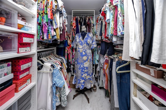 view of spacious closet