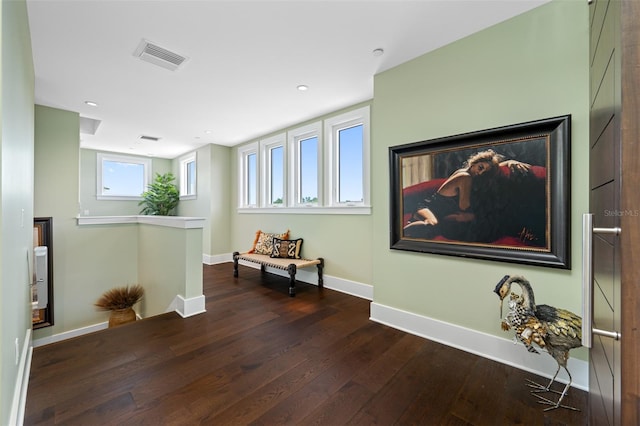 interior space featuring dark hardwood / wood-style floors