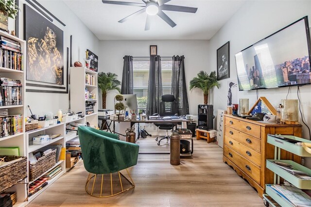 office area featuring light hardwood / wood-style flooring and ceiling fan