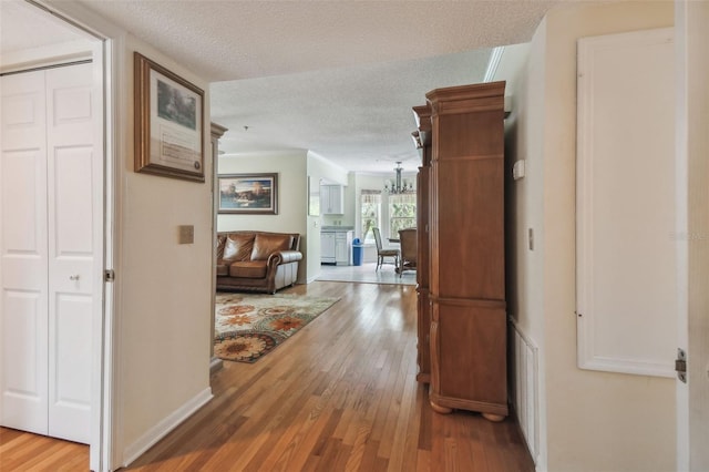 corridor with light hardwood / wood-style floors, a textured ceiling, and crown molding