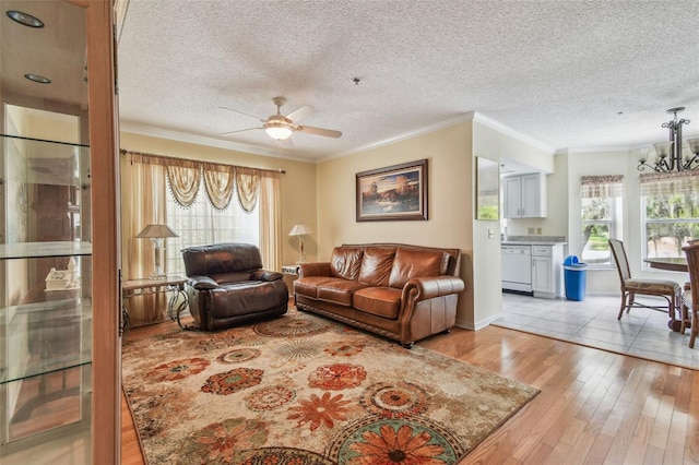 living room with ornamental molding, a wealth of natural light, a textured ceiling, and light wood-type flooring