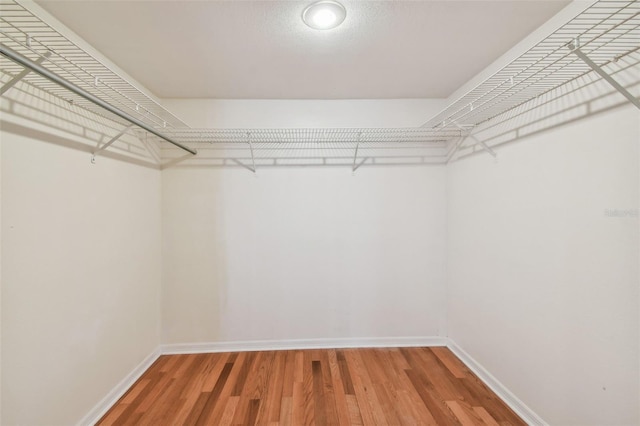 walk in closet featuring hardwood / wood-style flooring