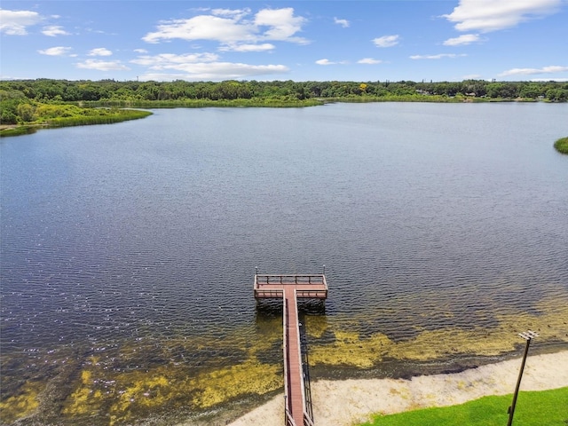 view of water feature