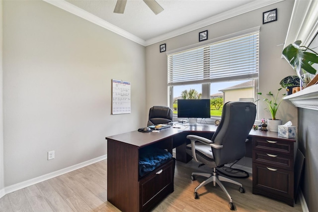 office with ornamental molding, light hardwood / wood-style flooring, and ceiling fan