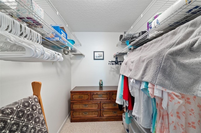 walk in closet with light colored carpet