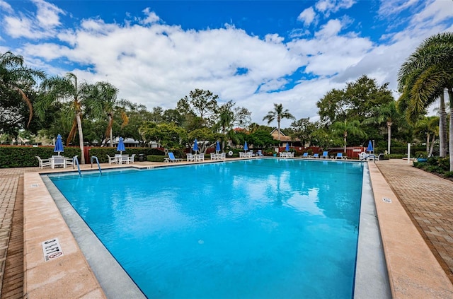 view of swimming pool with a patio area