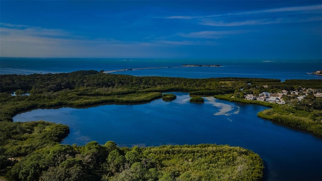 bird's eye view with a water view