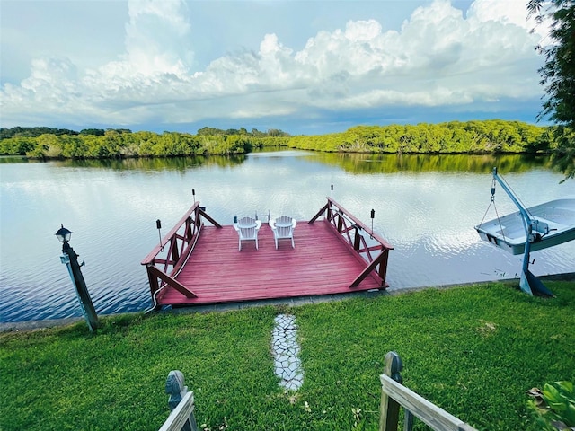 dock area featuring a yard and a water view