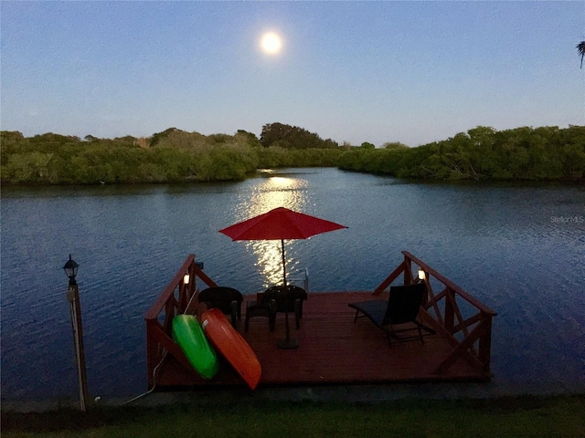 dock area featuring a water view