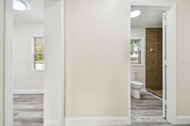 bathroom featuring plenty of natural light, toilet, and wood-type flooring