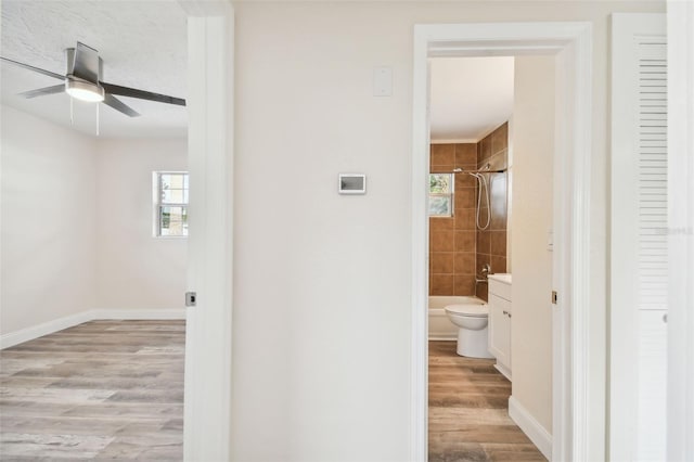 hall featuring light hardwood / wood-style floors