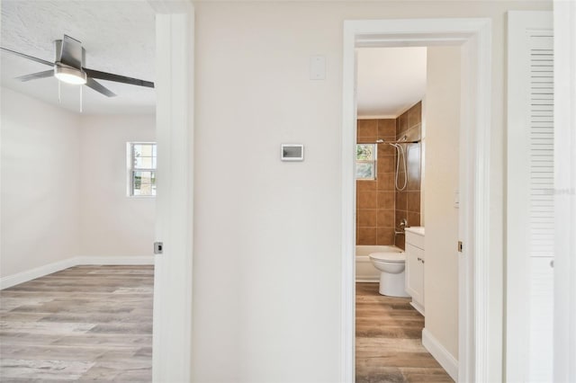831 Searcy Ave, Sarasota, FL 34237 - corridor featuring plenty of natural light and light wood-style flooring