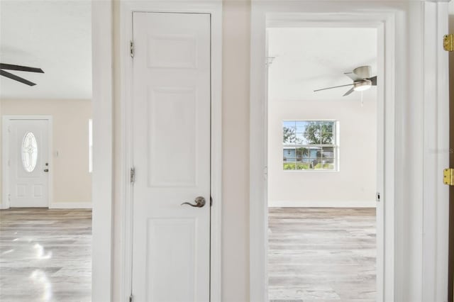 foyer featuring light hardwood / wood-style floors and ceiling fan