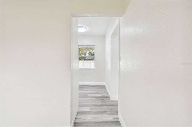 831 Searcy Ave, Sarasota, FL 34237 - hall with wood finished floors and baseboards