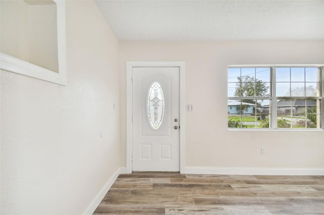 foyer with light hardwood / wood-style floors