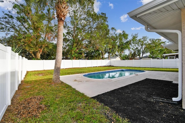 view of swimming pool with a patio and a lawn