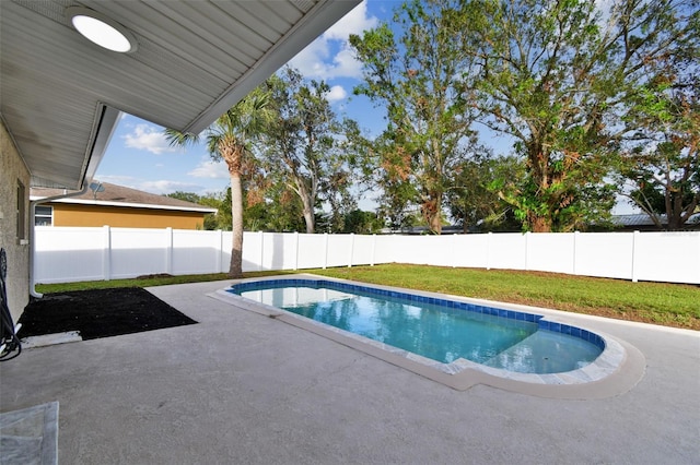 view of swimming pool with a patio area and a lawn