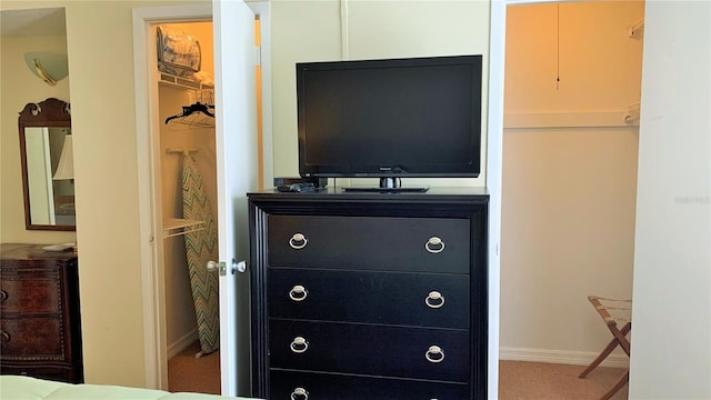 interior space with carpet and a closet