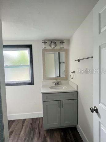 bathroom with vanity and wood-type flooring