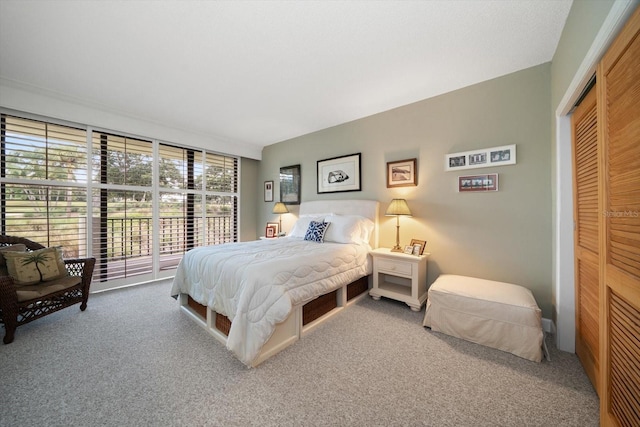 carpeted bedroom featuring a closet