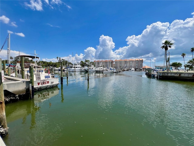 dock area featuring a water view