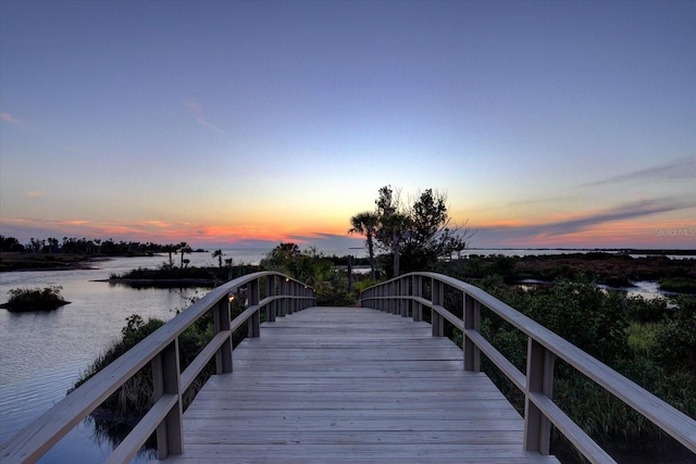 dock area with a water view